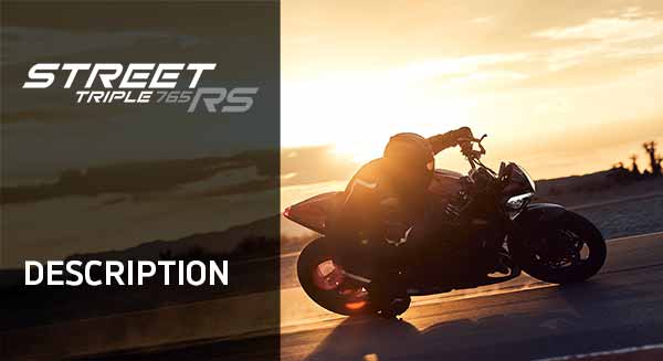 sp engineering street triple 765